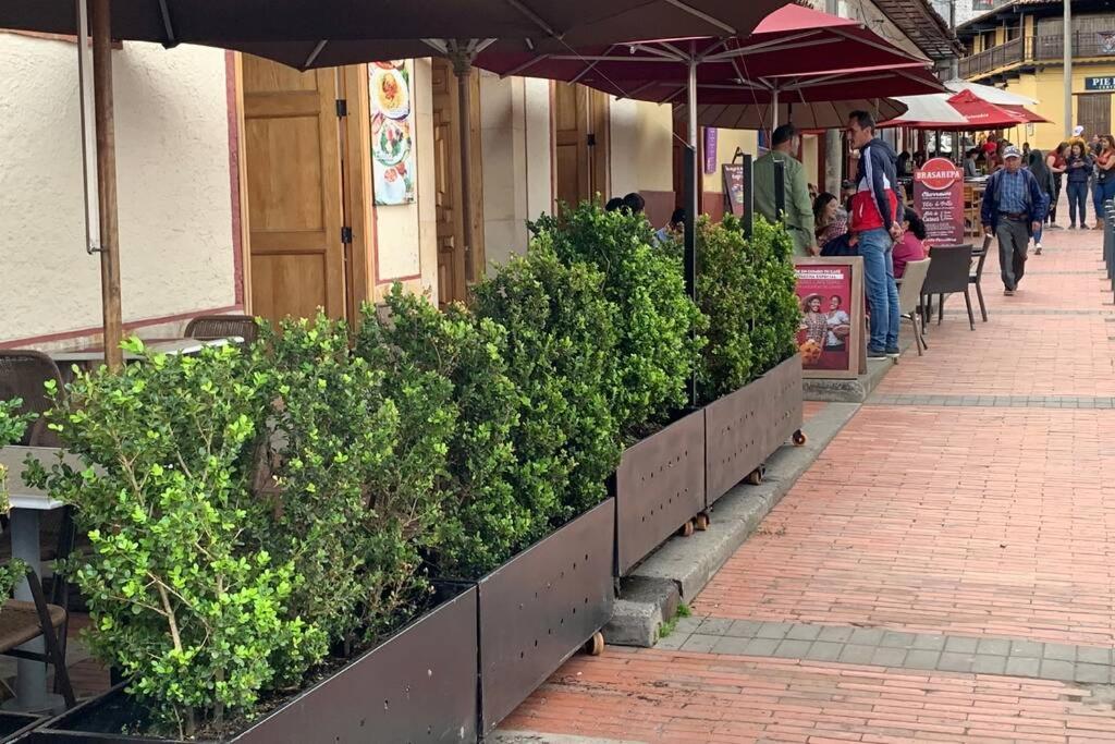 Zona Colonial Lindísimo 202